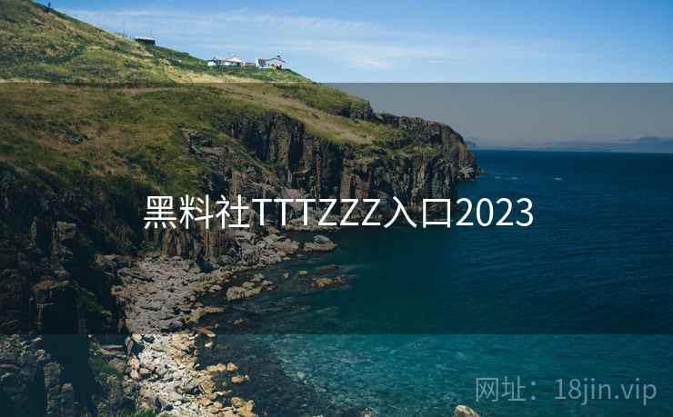 黑料社TTTZZZ入口2023  第2张
