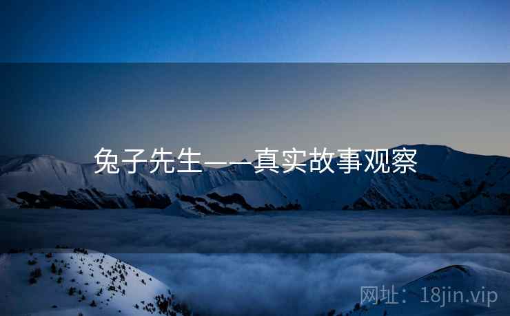 兔子先生——真实故事观察 第1张 兔子先生——真实故事观察 第1张