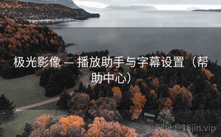 极光影像 — 播放助手与字幕设置（帮助中心）  第1张